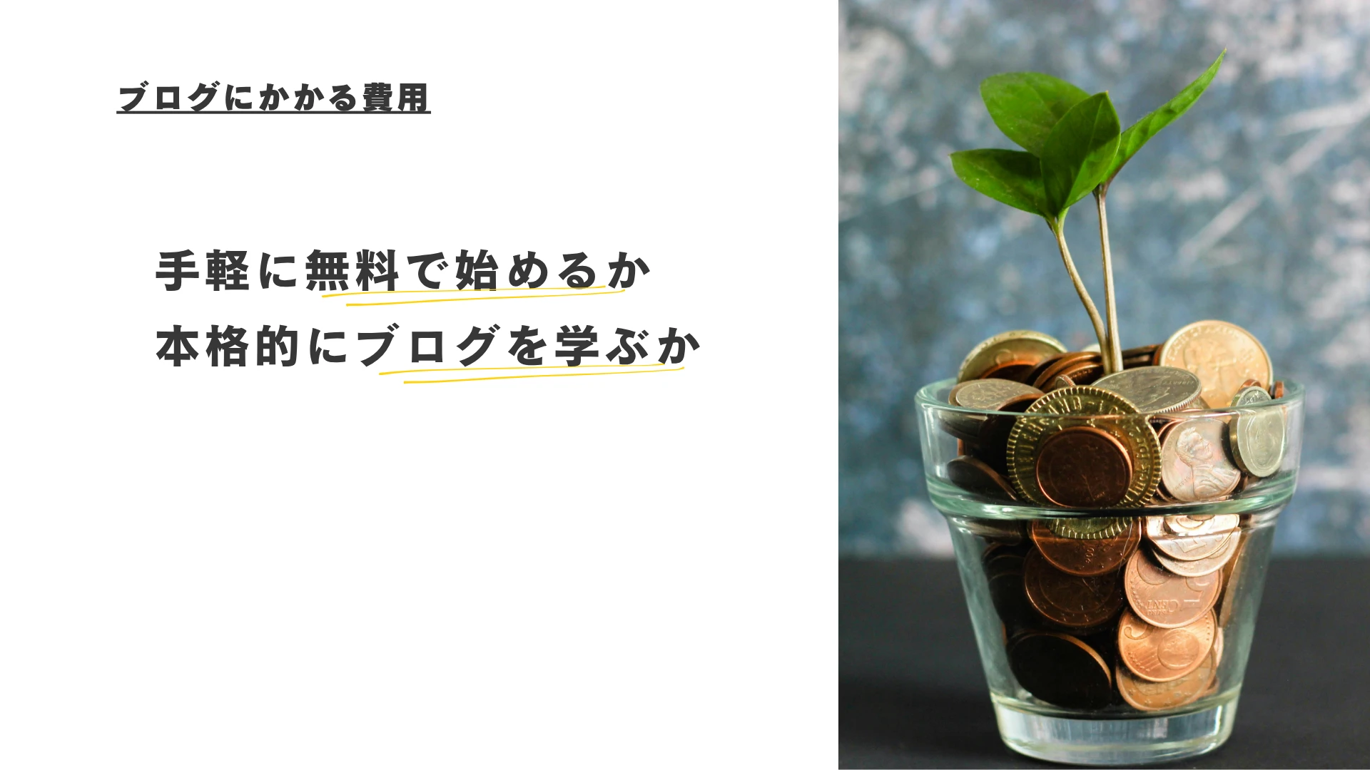 無料ブログで始めるか本格的に学ぶか